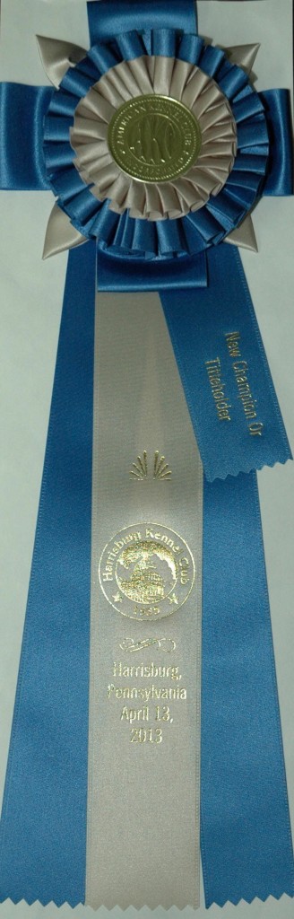 champion ribbon